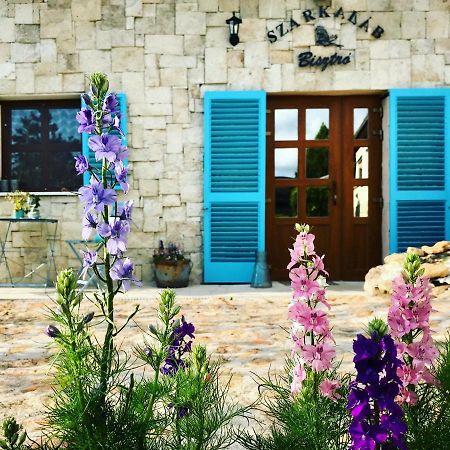 Ferienwohnung Szarka Vendeghaz Es Pince Mád Exterior foto