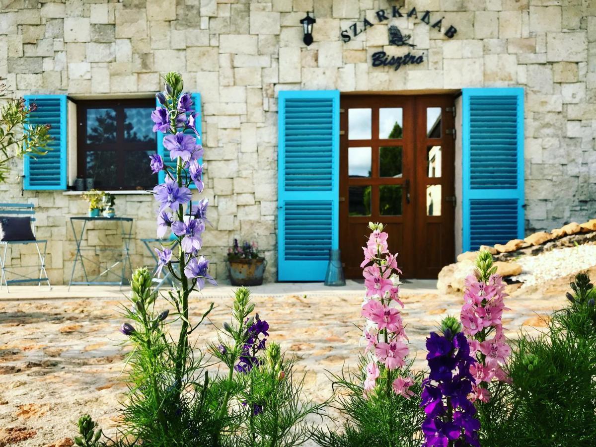 Ferienwohnung Szarka Vendeghaz Es Pince Mád Exterior foto