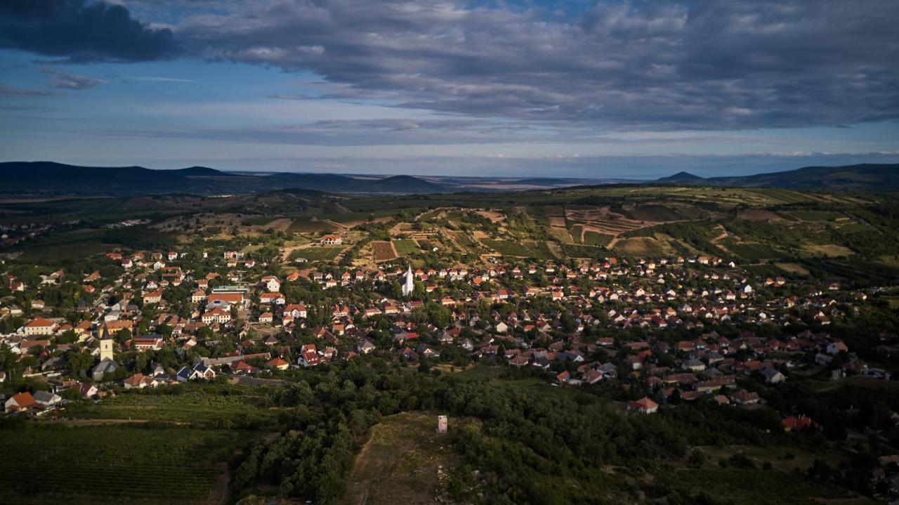 Ferienwohnung Szarka Vendeghaz Es Pince Mád Exterior foto